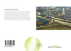 Buchcover von Florida State Road 586