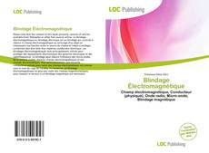 Bookcover of Blindage Électromagnétique