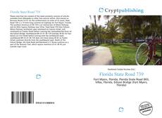 Capa do livro de Florida State Road 739 