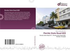 Borítókép a  Florida State Road 809 - hoz