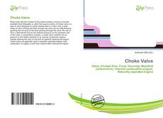 Bookcover of Choke Valve