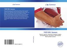 Bookcover of 1929 NFL Season