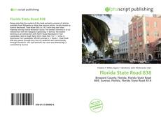 Portada del libro de Florida State Road 838