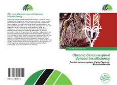 Chronic Cerebrospinal Venous Insufficiency kitap kapağı