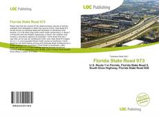 Bookcover of Florida State Road 973