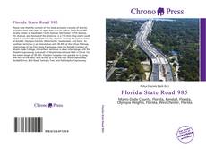 Capa do livro de Florida State Road 985 