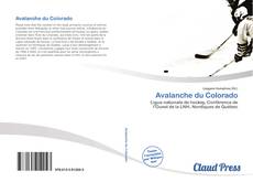 Bookcover of Avalanche du Colorado