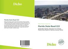 Capa do livro de Florida State Road 222 