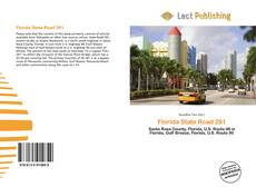 Portada del libro de Florida State Road 281