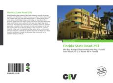 Buchcover von Florida State Road 293