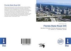 Bookcover of Florida State Road 345