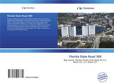 Capa do livro de Florida State Road 389 