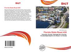 Capa do livro de Florida State Road 406 