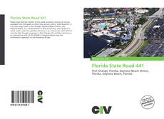 Buchcover von Florida State Road 441