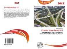 Bookcover of Florida State Road 513