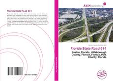 Capa do livro de Florida State Road 674 