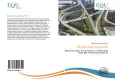 Capa do livro de Florida State Road 678 