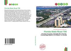 Portada del libro de Florida State Road 706