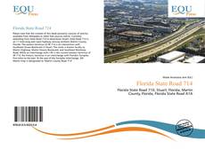 Capa do livro de Florida State Road 714 