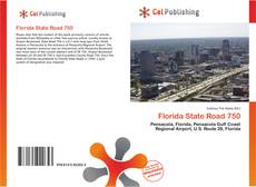 Buchcover von Florida State Road 750