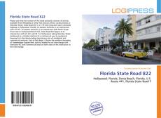 Capa do livro de Florida State Road 822 