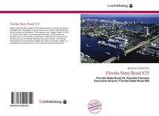 Обложка Florida State Road 825