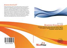 Buchcover von Brammo Enertia GT