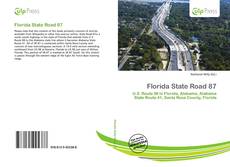 Bookcover of Florida State Road 87