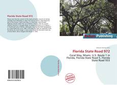 Florida State Road 972 kitap kapağı