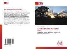 Bookcover of Los Remedios National Park