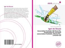 Portada del libro de Igor de Souza