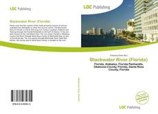 Bookcover of Blackwater River (Florida)