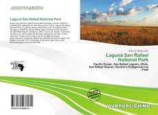 Portada del libro de Laguna San Rafael National Park