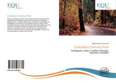 Bookcover of Llullaillaco National Park