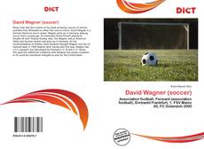 Buchcover von David Wagner (soccer)