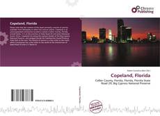 Portada del libro de Copeland, Florida