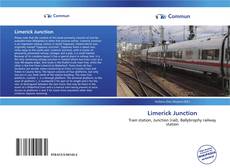 Capa do livro de Limerick Junction 