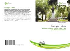 Copertina di Coongie Lakes