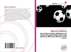 Portada del libro de Mauricio Molina