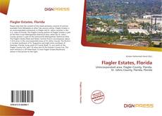 Buchcover von Flagler Estates, Florida