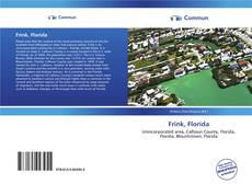 Capa do livro de Frink, Florida 