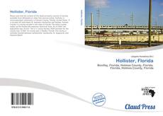 Bookcover of Hollister, Florida