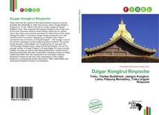 Capa do livro de Dzigar Kongtrul Rinpoche 