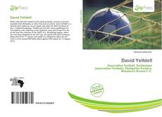 Bookcover of David Yelldell