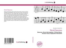 Bookcover of David Sancious