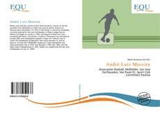 Bookcover of André Luiz Moreira