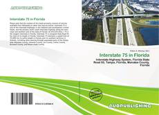 Buchcover von Interstate 75 in Florida