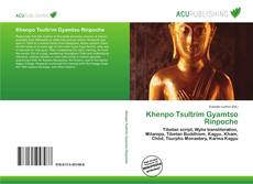 Khenpo Tsultrim Gyamtso Rinpoche的封面