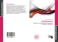 Adi Shankara kitap kapağı