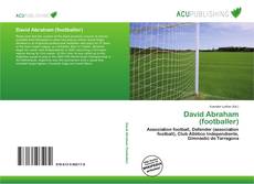 Bookcover of David Abraham (footballer)